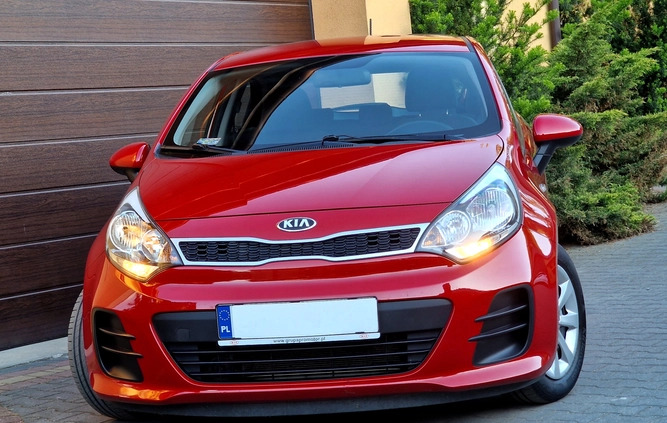 Kia Rio cena 37900 przebieg: 114000, rok produkcji 2016 z Nasielsk małe 562